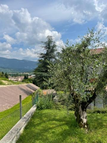 דירות קאפרינו ורונזה La Casa In Collina מראה חיצוני תמונה